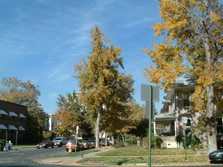outside 4